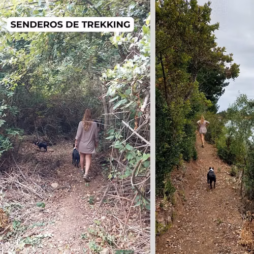 VENTA PARCELA COBQUECURA 5000 MTS2 - Imagen 3