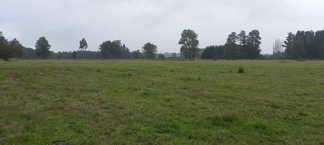 TERRENO AGRÍCOLA DE 4,7 HA EN PURRANQUE-FRUTILLAR