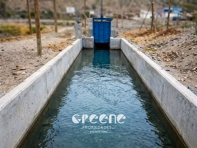 Agrícola en venta en San Clemente