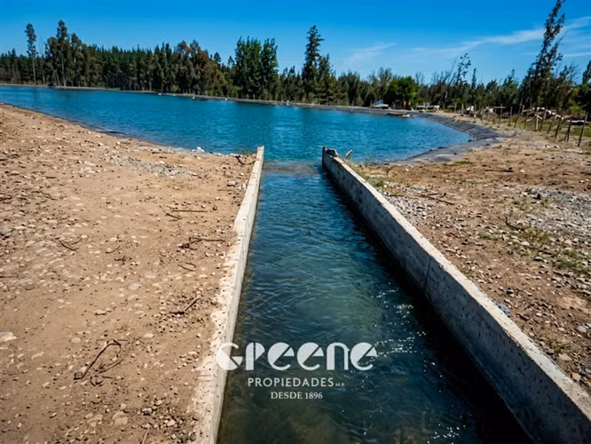 Agrícola en venta en San Clemente - Imagen 9