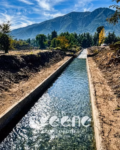 Agrícola en venta en San Clemente - Imagen 6
