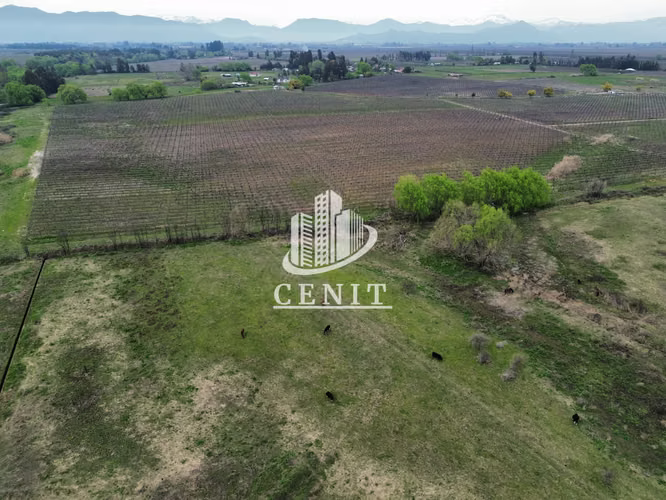 PARCELAS EN VENTA, 10 MIN DE MOLINA - Imagen 12