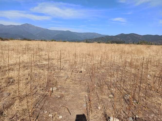 PROPIEDAD AGRÍCOLA EN VENTA, TENO, 366 HA