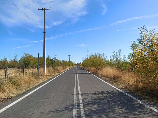 PROPIEDAD AGRÍCOLA EN VENTA, TENO, 366 HA