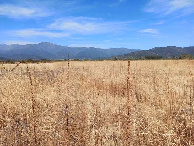 PROPIEDAD AGRÍCOLA EN VENTA, TENO, 366 HA