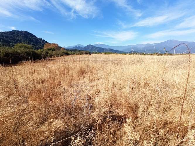 PROPIEDAD AGRÍCOLA EN VENTA, TENO, 366 HA