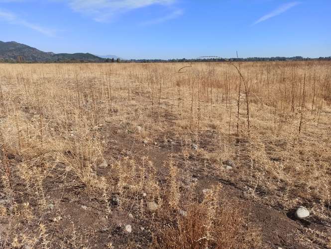 PROPIEDAD AGRÍCOLA EN VENTA, TENO, 366 HA