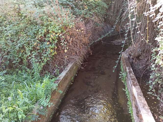 PROPIEDAD AGRÍCOLA EN VENTA, TENO, 366 HA