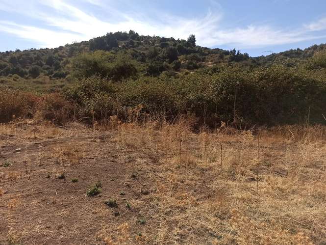 PROPIEDAD AGRÍCOLA EN VENTA, TENO, 366 HA
