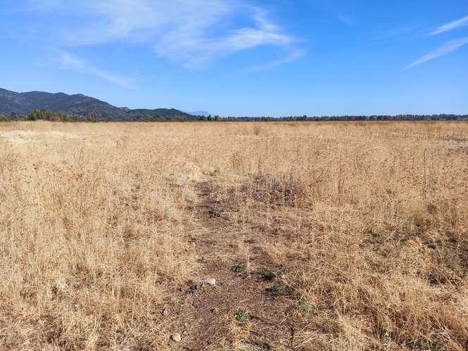 PROPIEDAD AGRÍCOLA EN VENTA, TENO, 366 HA