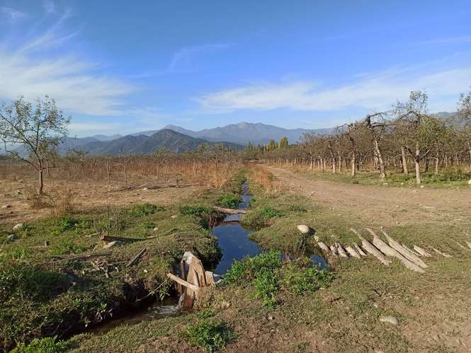 PROPIEDAD AGRÍCOLA EN VENTA, TENO, 366 HA