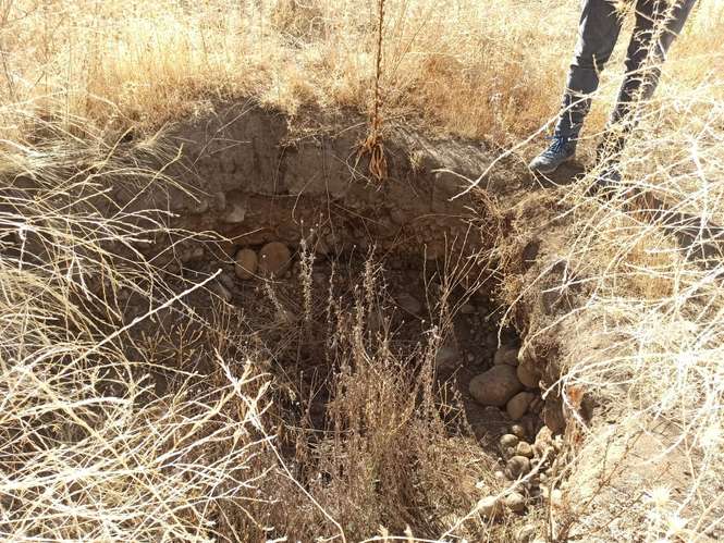 PROPIEDAD AGRÍCOLA EN VENTA, TENO, 366 HA