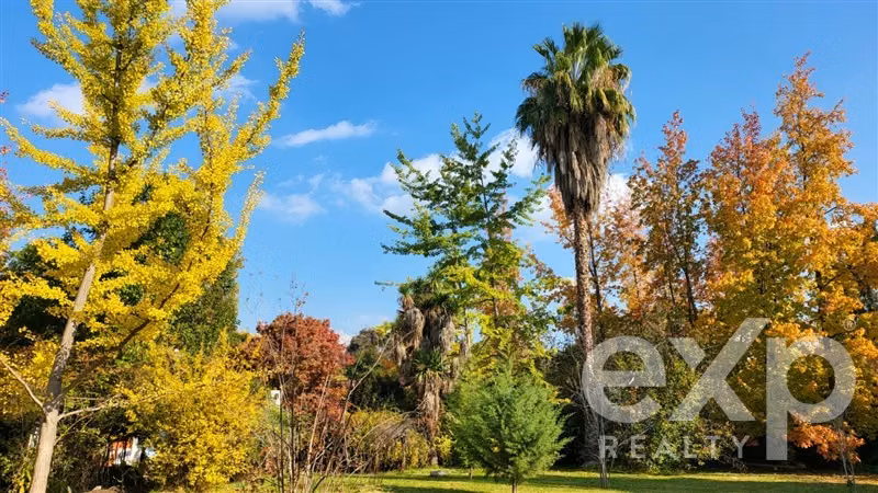 ESPECTACULAR PARCELA CON CASA COLONIAL SECTOR EL BOSQUE