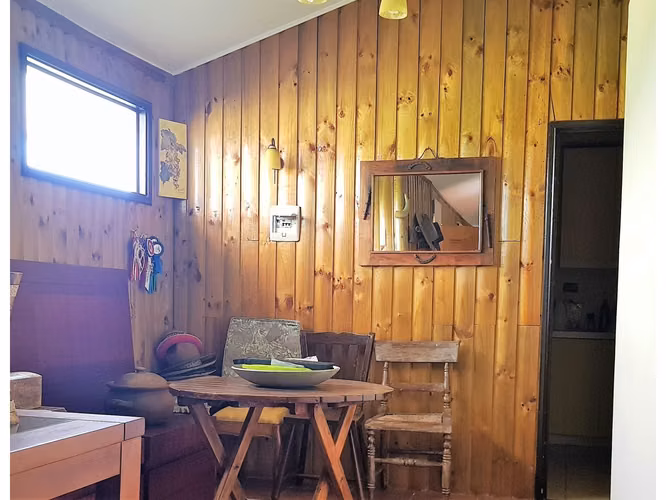 Venta de terreno en La Cruz – 35.000 m2., plantado con paltos Hass.  24.500 UF