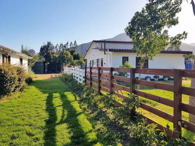 Venta de terreno en La Cruz – 35.000 m2., plantado con paltos Hass.  24.500 UF