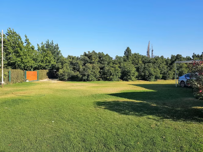 Venta de terreno en La Cruz – 35.000 m2., plantado con paltos Hass.  24.500 UF