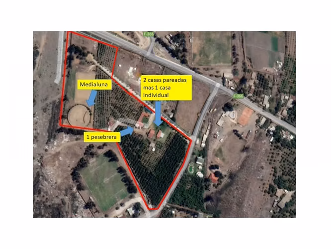 Venta de terreno en La Cruz – 35.000 m2., plantado con paltos Hass.  24.500 UF