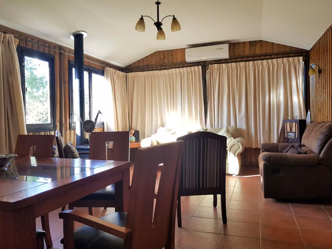 Venta de terreno en La Cruz – 35.000 m2., plantado con paltos Hass.  24.500 UF