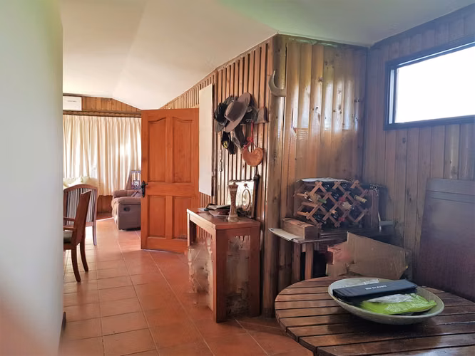 Venta de terreno en La Cruz – 35.000 m2., plantado con paltos Hass.  24.500 UF