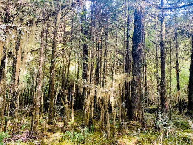 OPORTUNIDAD!! Se Vende Terreno de 2 Hectáreas con Orilla de Río Cóndor, Aguas de la Patagonia, Aysén