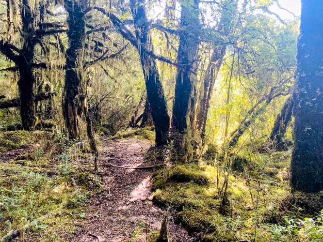 OPORTUNIDAD!! Se Vende Terreno de 2 Hectáreas con Orilla de Río Cóndor, Aguas de la Patagonia, Aysén