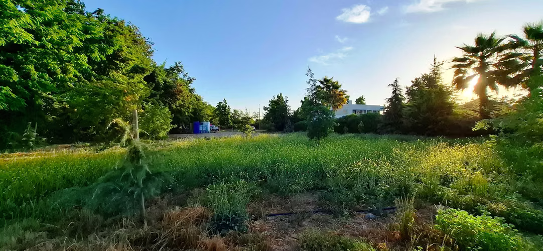 Exclusivo Terreno Vista al Club de Golf Los Liri (177092) - Imagen 6