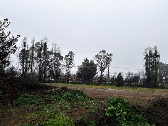 Terreno 2.000 M² | Lado de PRT Applus, Punta Parra, Tomé