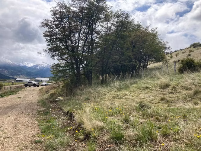 Se vende parcela 5000 m2 Coyhaique " Fundo Las Águilas"