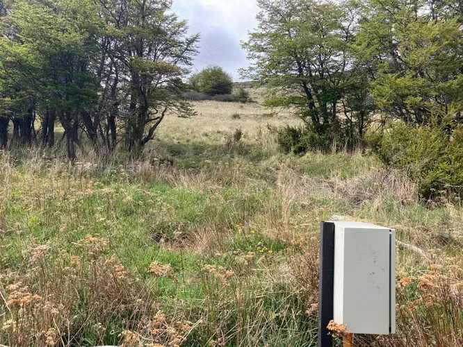 Se vende parcela 5000 m2 Coyhaique " Fundo Las Águilas"