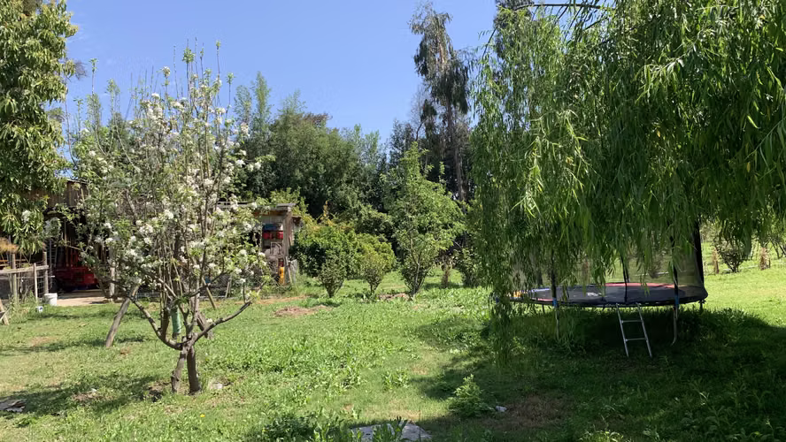 HERMOSA PARCELA DE AGRADO EN ALTOS DEL MAIPO - Imagen 28