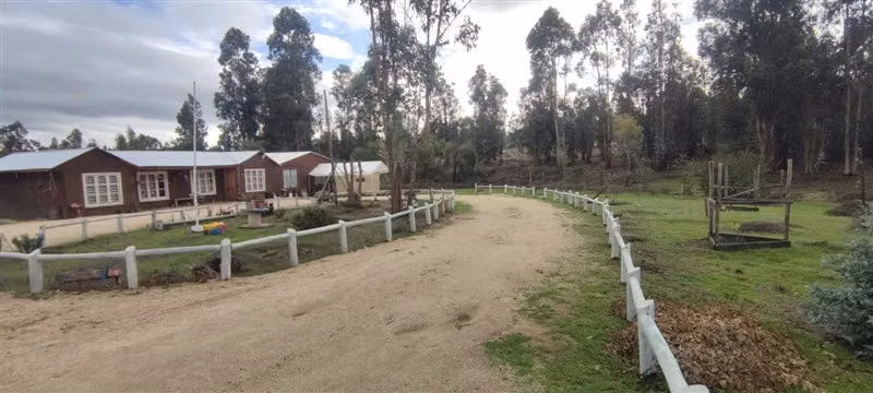 VENTA PARCELA 5.000 M2 CON CASA 5D/1B EN LITUECHE
