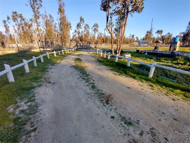 VENTA PARCELA 5.000 M2 CON CASA 5D/1B EN LITUECHE - Imagen 6