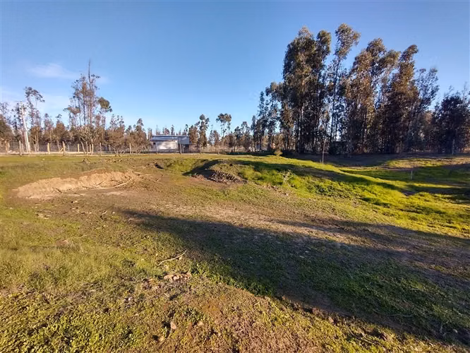 VENTA PARCELA 5.000 M2 CON CASA 5D/1B EN LITUECHE
