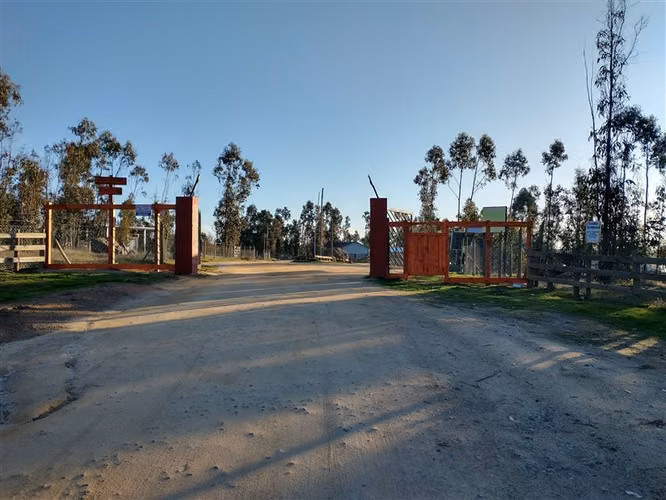 VENTA PARCELA 5.000 M2 CON CASA 5D/1B EN LITUECHE