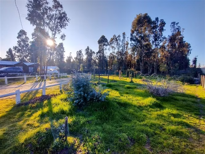 VENTA PARCELA 5.000 M2 CON CASA 5D/1B EN LITUECHE