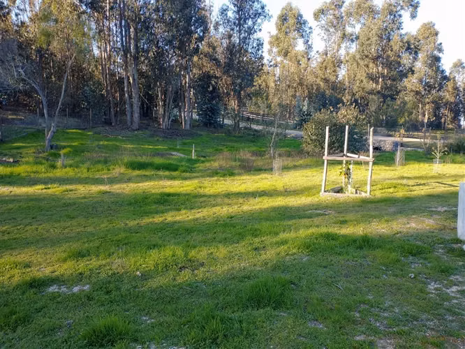 VENTA PARCELA 5.000 M2 CON CASA 5D/1B EN LITUECHE