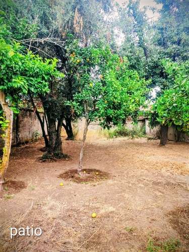 Casa en Venta Centro de Talca, 800 m2 de terreno - Imagen 20