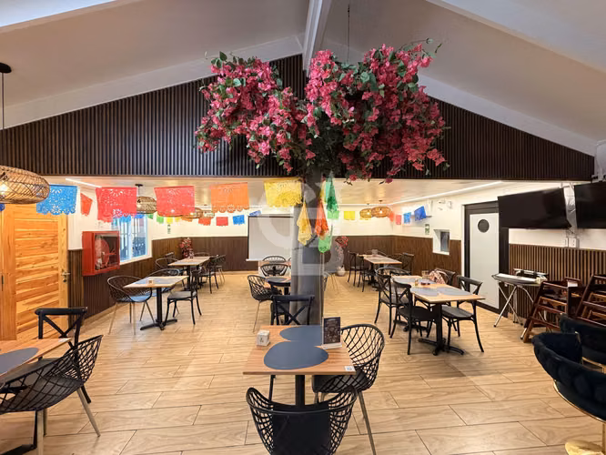 Derecho de llave de Restaurant con patentes vigentes