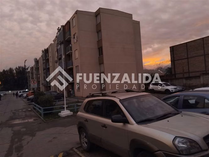 Arriendo Departamento 3 Dormitorios - 1 Baño ( El Bosque )