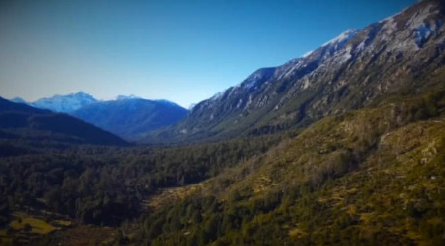 UN REFUGIO EN LA PATAGONIA, 315 HA EN LAGO VERDE