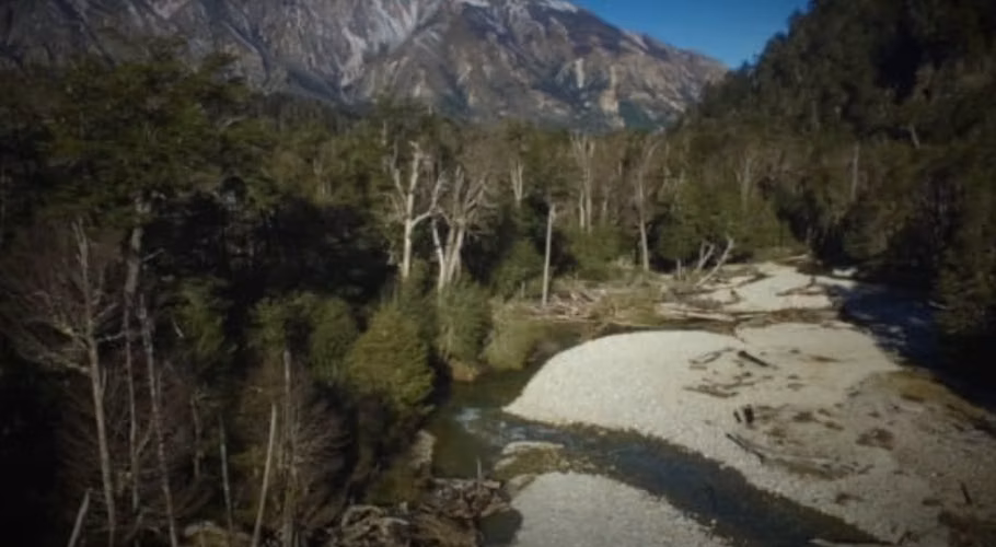 DESARROLLO TURÍSTICO O ECOLÓGICO, 315 HA LAGO VERDE