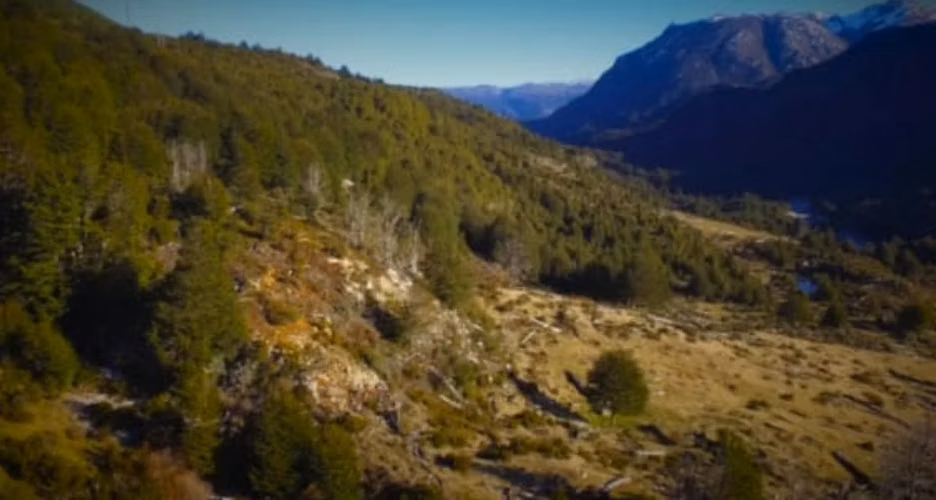 UN REFUGIO EN LA PATAGONIA, 315 HA EN LAGO VERDE