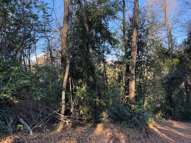Se vende parcela 14.700 m2 con hermosa vista en Vilches Alto