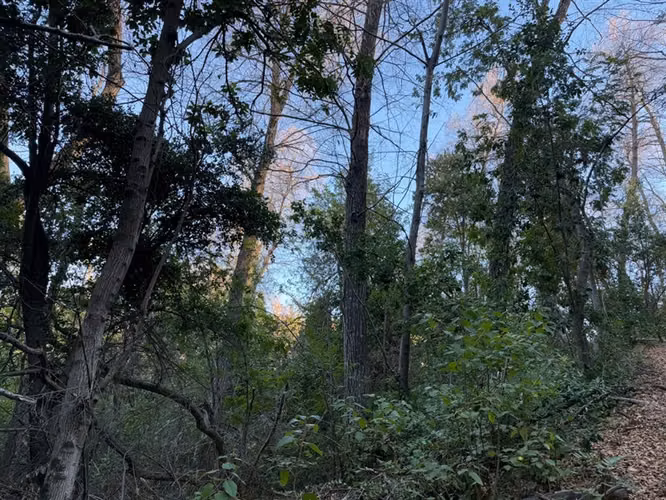Se vende parcela 14.700 m2 con hermosa vista en Vilches Alto