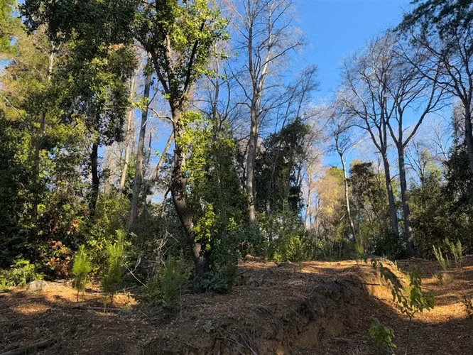 Se vende parcela 14.700 m2 con hermosa vista en Vilches Alto