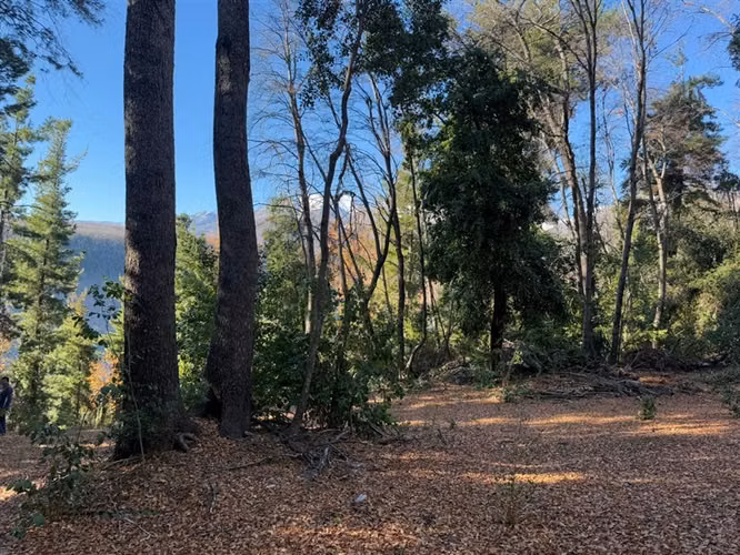 Se vende parcela 14.700 m2 con hermosa vista en Vilches Alto