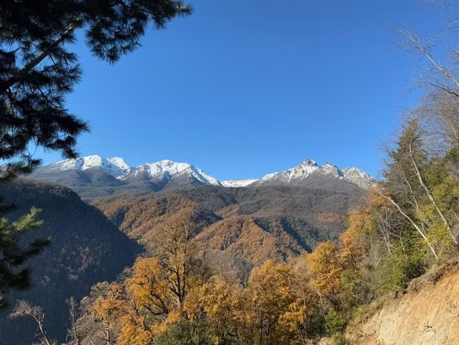 Se vende parcela 14.700 m2 con hermosa vista en Vilches Alto