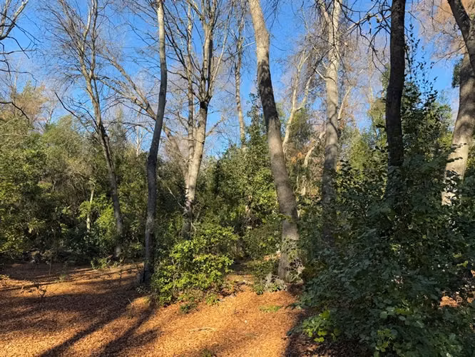 Se vende parcela 14.700 m2 con hermosa vista en Vilches Alto