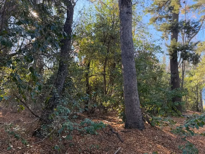 Se vende parcela 14.700 m2 con hermosa vista en Vilches Alto