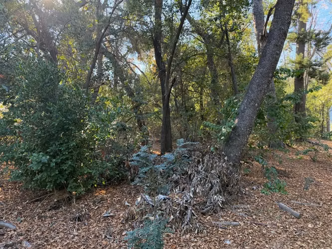 Se vende parcela 14.700 m2 con hermosa vista en Vilches Alto